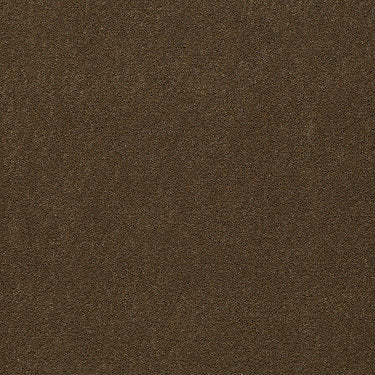 Baytowne Iii 36 Residential Carpet by Philadelphia Commercial in the color Olive Twist. Sample of browns carpet pattern and texture.