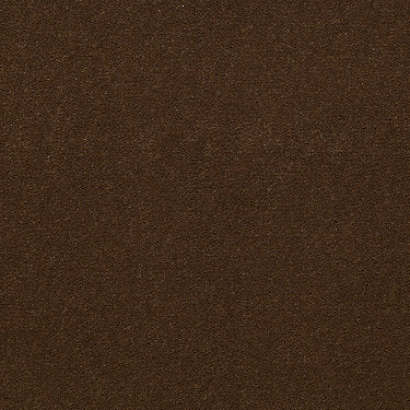 Baytowne Iii 36 Residential Carpet by Philadelphia Commercial in the color Cinnamon Sugar. Sample of browns carpet pattern and texture.