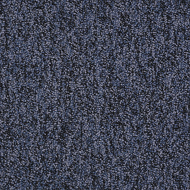 No Limits 26 Commercial Carpet by Philadelphia Commercial in the color Everlasting. Sample of blues carpet pattern and texture.