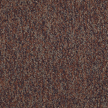 No Limits 26 Commercial Carpet by Philadelphia Commercial in the color Dynamic. Sample of oranges carpet pattern and texture.