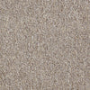 Dividend 26 Commercial Carpet by Philadelphia Commercial in the color Capital. Sample of beiges carpet pattern and texture.