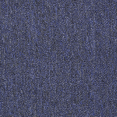 Dividend 26 Commercial Carpet by Philadelphia Commercial in the color Quarterly. Sample of blues carpet pattern and texture.