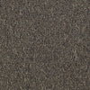 Dividend 26 Commercial Carpet by Philadelphia Commercial in the color Checking. Sample of oranges carpet pattern and texture.