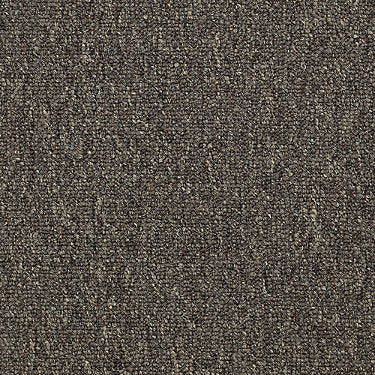 Dividend 26 Commercial Carpet by Philadelphia Commercial in the color Checking. Sample of oranges carpet pattern and texture.