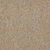 Dividend 26 Commercial Carpet by Philadelphia Commercial in the color Savings. Sample of browns carpet pattern and texture.