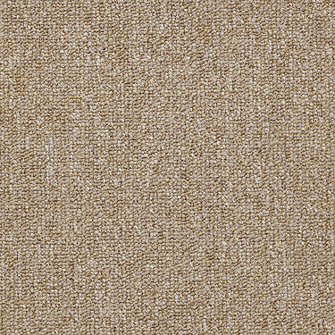 Dividend 26 Commercial Carpet by Philadelphia Commercial in the color Savings. Sample of browns carpet pattern and texture.