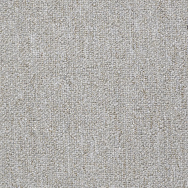 Dividend 26 Unitary Commercial Carpet by Philadelphia Commercial in the color Deposit. Sample of grays carpet pattern and texture.