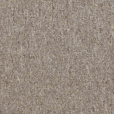 Dividend 28 Unitary Commercial Carpet by Philadelphia Commercial in the color Capital. Sample of beiges carpet pattern and texture.