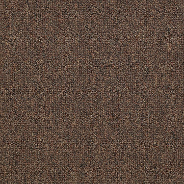 Dividend 28 Unitary Commercial Carpet by Philadelphia Commercial in the color Withdrawal. Sample of browns carpet pattern and texture.
