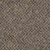 Change In Attitude Tl Commercial Carpet by Philadelphia Commercial in the color Get A Grip. Sample of beiges carpet pattern and texture.