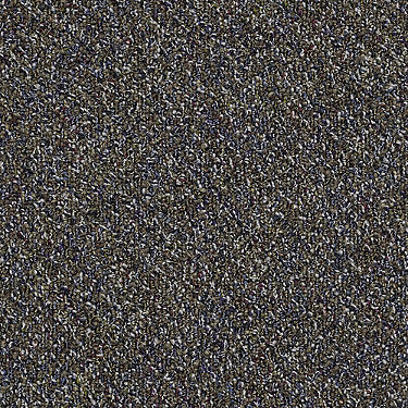 Change In Attitude Tl Commercial Carpet by Philadelphia Commercial in the color Adrenaline Rush. Sample of browns carpet pattern and texture.