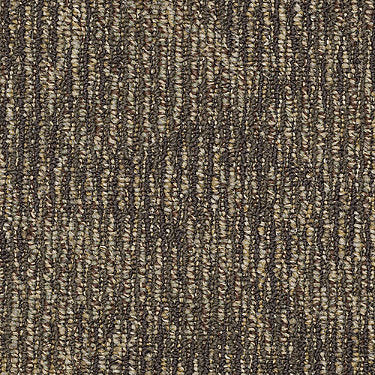 Ripple Effect Commercial Carpet by Philadelphia Commercial in the color Sequence. Sample of browns carpet pattern and texture.