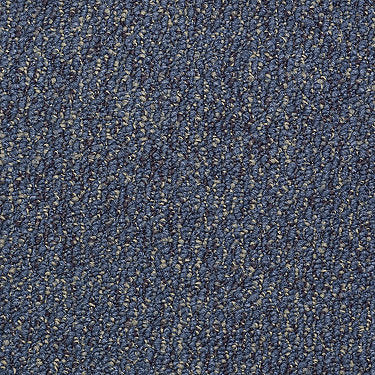 All Access Commercial Carpet by Philadelphia Commercial in the color Bypass. Sample of blues carpet pattern and texture.