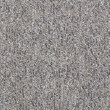 All Access Commercial Carpet by Philadelphia Commercial in the color Available. Sample of grays carpet pattern and texture.