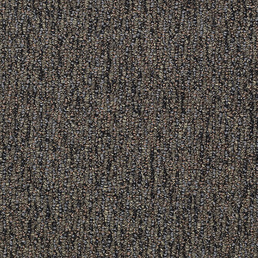 All Access Commercial Carpet by Philadelphia Commercial in the color Gateway. Sample of grays carpet pattern and texture.