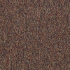 All Access Commercial Carpet by Philadelphia Commercial in the color Thoroughfare. Sample of oranges carpet pattern and texture.