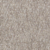 All Access Commercial Carpet by Philadelphia Commercial in the color Interstate. Sample of browns carpet pattern and texture.