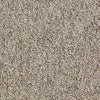 All Access Commercial Carpet by Philadelphia Commercial in the color Open Door. Sample of browns carpet pattern and texture.