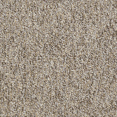 All Access Commercial Carpet by Philadelphia Commercial in the color Open Door. Sample of browns carpet pattern and texture.