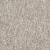 Chart Topper Ii 12' Commercial Carpet by Philadelphia Commercial in the color Acorn. Sample of browns carpet pattern and texture.