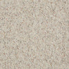 Chart Topper Ii 12' Commercial Carpet by Philadelphia Commercial in the color Valley Beige. Sample of browns carpet pattern and texture.