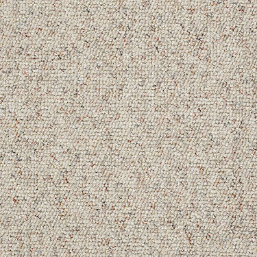 Chart Topper Ii 12' Commercial Carpet by Philadelphia Commercial in the color Valley Beige. Sample of browns carpet pattern and texture.