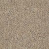 Chart Topper Ii 12' Commercial Carpet by Philadelphia Commercial in the color Bran Muffin. Sample of browns carpet pattern and texture.