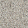 Chart Topper Ii 12' Commercial Carpet by Philadelphia Commercial in the color Dill. Sample of browns carpet pattern and texture.