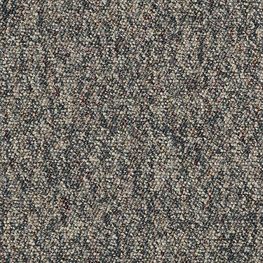 Chart Topper Ii 12' Commercial Carpet by Philadelphia Commercial in the color Spruce. Sample of browns carpet pattern and texture.