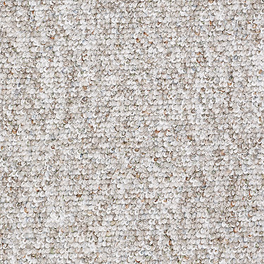 Chart Topper Ii 15' Commercial Carpet by Philadelphia Commercial in the color Swiss Alps. Sample of browns carpet pattern and texture.