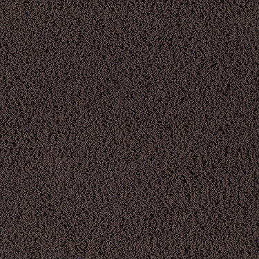 Intermix Commercial Carpet by Philadelphia Commercial in the color Stir. Sample of greens carpet pattern and texture.