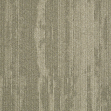 Rendered Bark Commercial Carpet by Philadelphia Commercial in the color Harmony Sage. Sample of greens carpet pattern and texture.