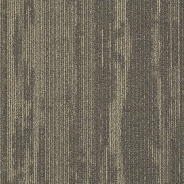 Rendered Bark Commercial Carpet by Philadelphia Commercial in the color Misty Dawn. Sample of grays carpet pattern and texture.