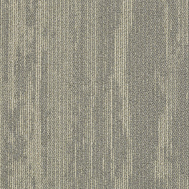 Rendered Bark Commercial Carpet by Philadelphia Commercial in the color Gray Birch. Sample of grays carpet pattern and texture.