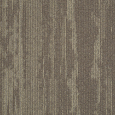 Rendered Bark Commercial Carpet by Philadelphia Commercial in the color Tiger'S Eye. Sample of browns carpet pattern and texture.