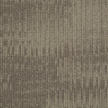 Rendered Lines Commercial Carpet by Philadelphia Commercial in the color Tiger'S Eye. Sample of browns carpet pattern and texture.