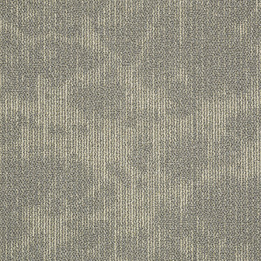 Rendered Rock Commercial Carpet by Philadelphia Commercial in the color Gray Birch. Sample of grays carpet pattern and texture.