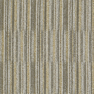 Cutaway Commercial Carpet by Philadelphia Commercial in the color Selection. Sample of golds carpet pattern and texture.
