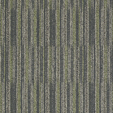 Cutaway Commercial Carpet by Philadelphia Commercial in the color Specimen. Sample of greens carpet pattern and texture.