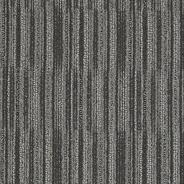 Cutaway Commercial Carpet by Philadelphia Commercial in the color Model. Sample of grays carpet pattern and texture.