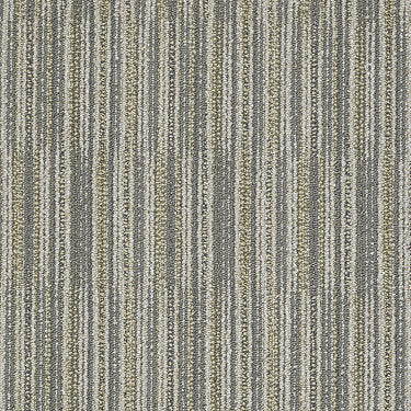 Cutaway Commercial Carpet by Philadelphia Commercial in the color Swatch. Sample of grays carpet pattern and texture.