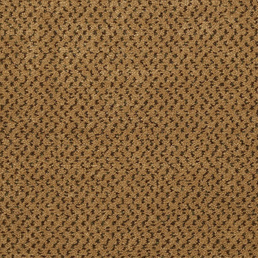 Inspired Commercial Carpet by Philadelphia Commercial in the color Casino. Sample of golds carpet pattern and texture.