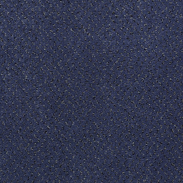 Inspired Commercial Carpet by Philadelphia Commercial in the color Blueprint. Sample of blues carpet pattern and texture.
