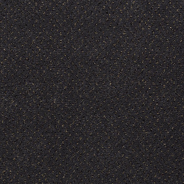 Inspired Commercial Carpet by Philadelphia Commercial in the color Anchor. Sample of grays carpet pattern and texture.