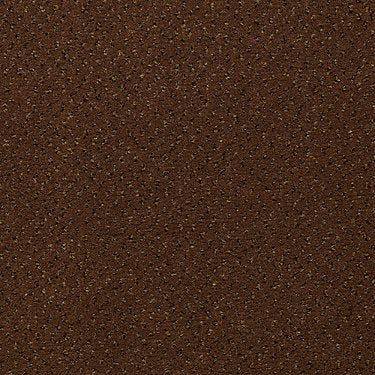 Inspired Commercial Carpet by Philadelphia Commercial in the color Mocha. Sample of browns carpet pattern and texture.