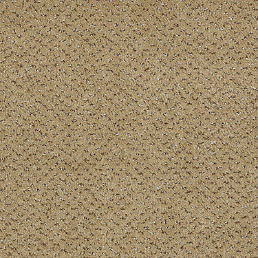 Inspired Commercial Carpet by Philadelphia Commercial in the color Raffia. Sample of browns carpet pattern and texture.