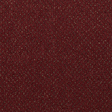 Inspired Commercial Carpet by Philadelphia Commercial in the color Brick. Sample of reds carpet pattern and texture.