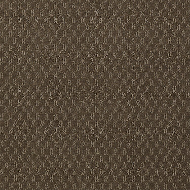 Elements Commercial Carpet by Philadelphia Commercial in the color Secret Garden. Sample of greens carpet pattern and texture.