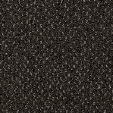 Elements Commercial Carpet by Philadelphia Commercial in the color Jungle Vine. Sample of greens carpet pattern and texture.