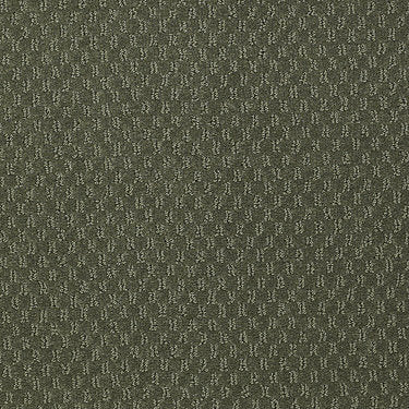 Elements Commercial Carpet by Philadelphia Commercial in the color Pale Forest. Sample of greens carpet pattern and texture.